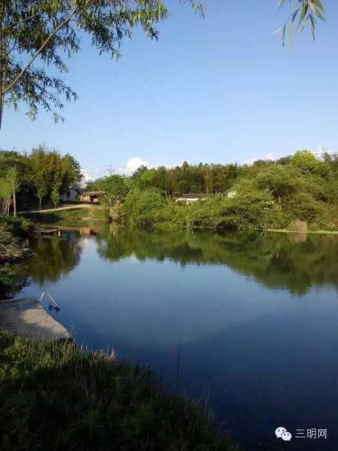 尤溪小众景点排名前十(三明尤溪台溪一线天旅游景点)插图14
