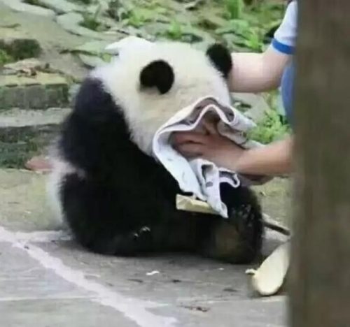 天津万科霞光道5号(天津万科生态之光二期)插图