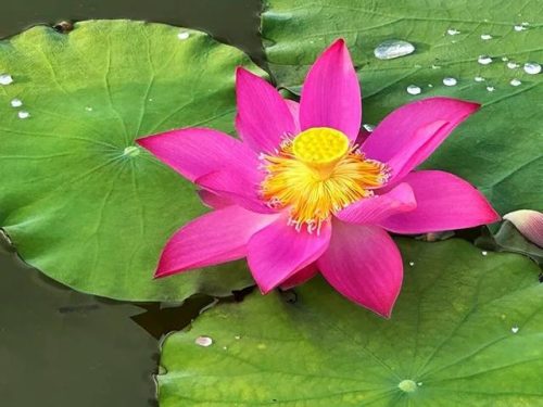 闵行体育公园好玩吗(闵行十大必去景点)插图6