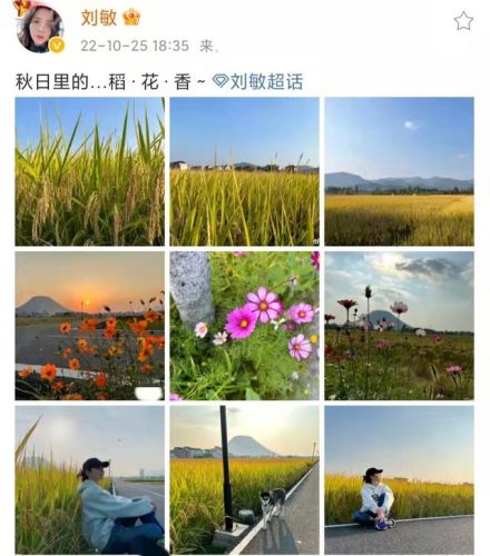 武林外传赛貂蝉(赛貂蝉在哪一集出场)插图