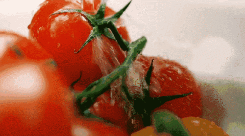 新鲜蔬菜(疏菜品名称大全)插图2