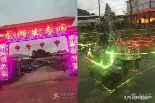 南宁好看农庄排名前十(南宁四塘学雍自然农庄)插图13