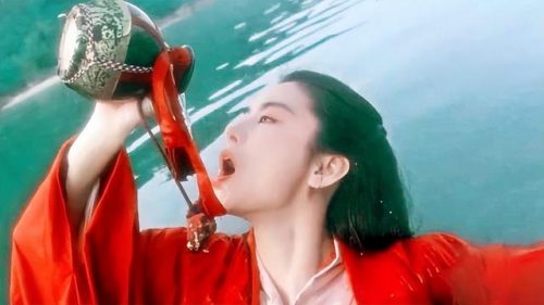 笑傲江湖岳不群自宫(笑傲江湖林平之大战余沧海)插图1