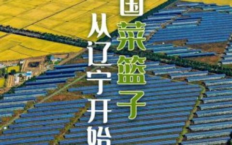 蔬菜产地(全国十大产地蔬菜批发市场)