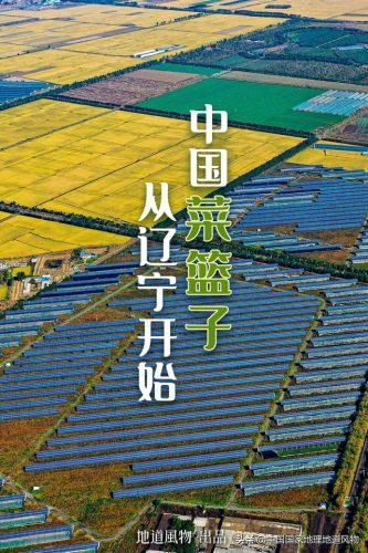 蔬菜产地(全国十大产地蔬菜批发市场)插图