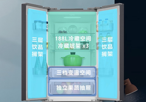 冰箱品牌排行榜(2023中国冰箱十大名牌)插图8