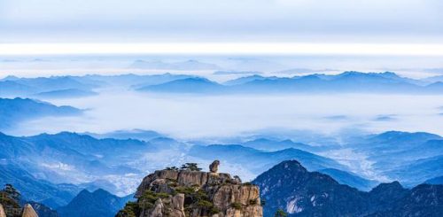 中国自然雨林排名前十(中国的热带雨林有哪些)插图2