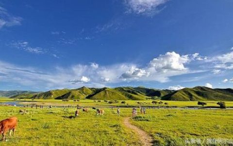 科尔沁旅游(科尔沁属于哪个市)