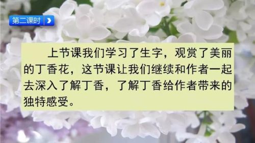 霜树尽空枝肠断丁香结(芭蕉不展丁香结同向春风各自愁)插图22