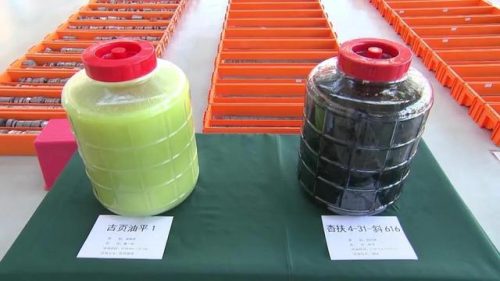 中国石油储量(中国石油可以自给自足吗)插图12