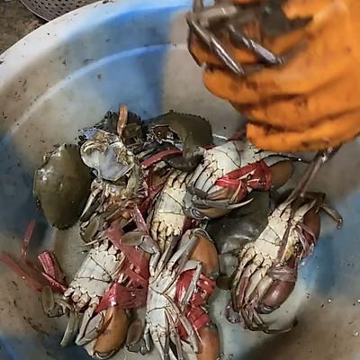 青蟹怎么做好吃又简单(青蟹做法清蒸几分钟)插图1