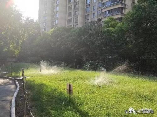 黄浦品质楼盘排名前十(黄浦各楼盘价格)插图2