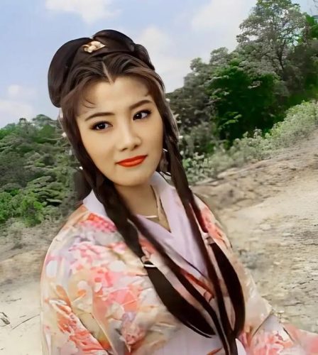 杨丽菁主演的电视剧(乞丐皇帝杨丽青)插图2