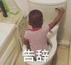 上海最贵餐厅排名前十(中国最贵餐厅)插图