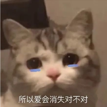 所以爱会消失对吗什么梗(所以爱会消失对不对)插图
