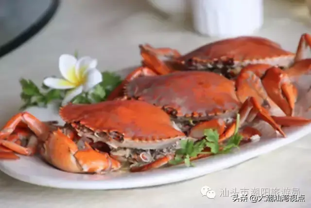 潮阳老牌小吃排名前十(潮阳棉城美食地点)插图7