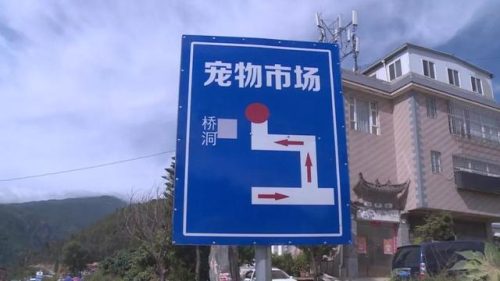 大理宠物餐厅排名前十(大理网红餐厅)插图5