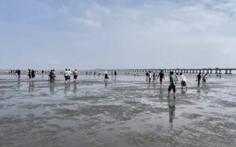 上海碧海金沙好玩吗(上海碧海金沙景区门票多少钱)