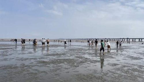 上海碧海金沙好玩吗(上海碧海金沙景区门票多少钱)插图