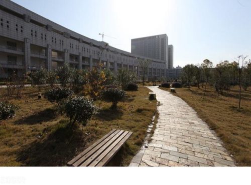 安徽排名前十的学(安徽文科500分女生学会计专业)插图8