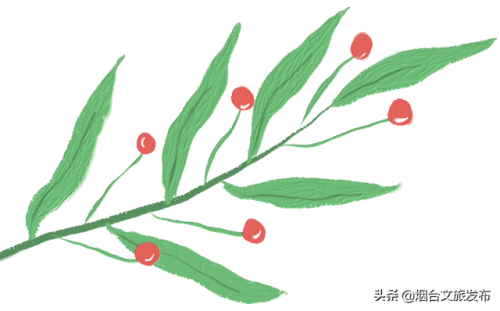 鸟的象形字(象形文字识别大全)插图2