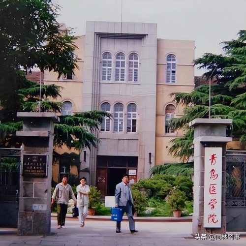 山东中专卫校排名前十(山东省理科类第一名大学)插图6