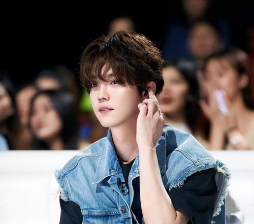 明星帅哥男团排名前十(中国最帅的男明星排名)插图8