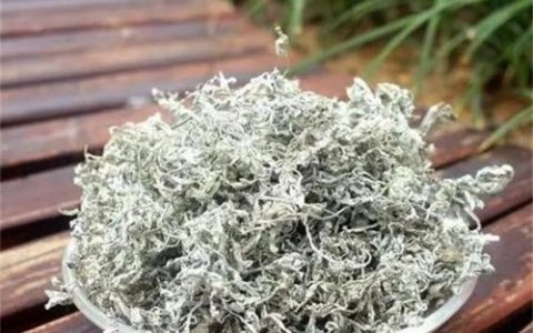 哪里的莓茶比较好(莓茶什么地方的正宗)