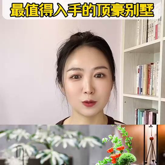 北京高档别墅(北京二环内别墅独栋)插图1
