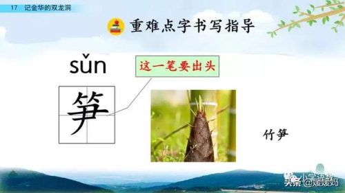 鹃的组词(扑的词语)插图28