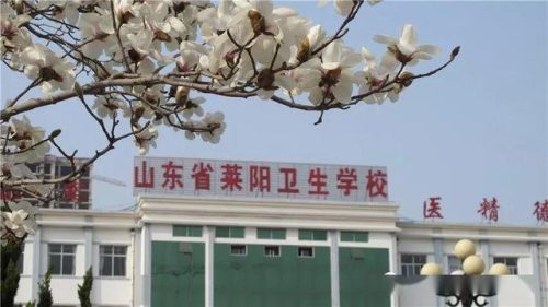 山东中专卫校排名前十(山东省理科类第一名大学)插图9