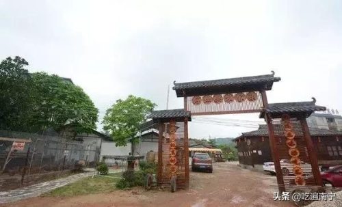 南宁好看农庄排名前十(南宁四塘学雍自然农庄)插图6