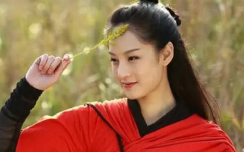 武林美女排行榜(武林美女排行榜小说)