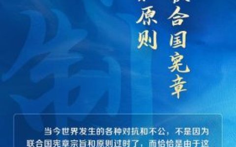联合国宪章(联合国条约库)