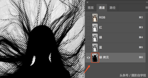 通道抠头发(ps抠头发丝最简单方法)插图5