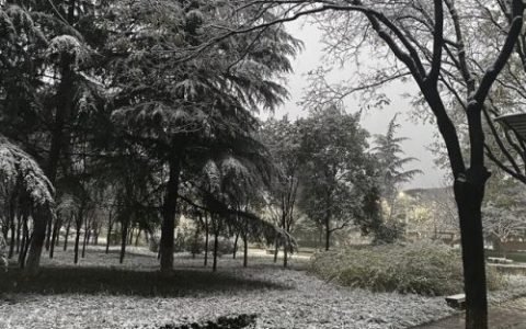 西安明德学院(张雪峰点评西安明德)