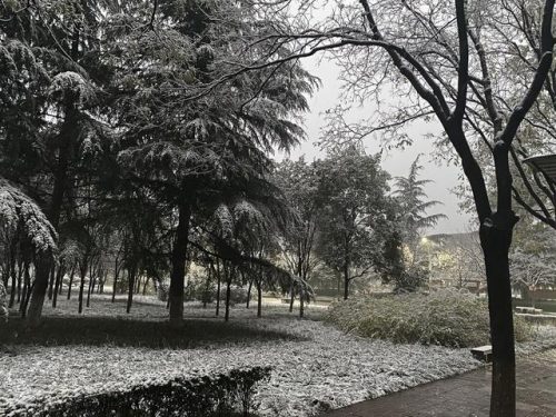 西安明德学院(张雪峰点评西安明德)插图