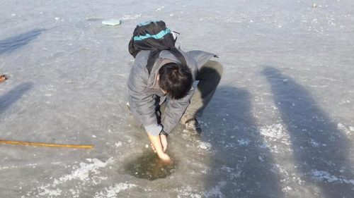 东丽湖度假村(东丽湖度假村值得买吗)插图20
