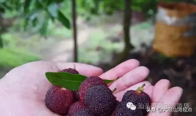 潮阳老牌小吃排名前十(潮阳棉城美食地点)插图4