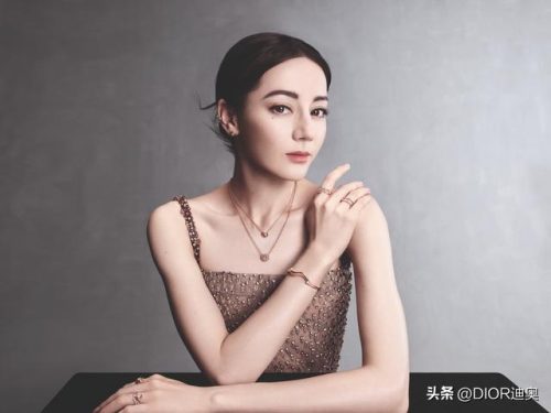 璀璨玫瑰(璀璨之花)插图10