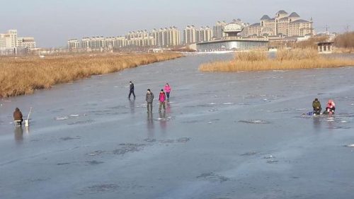 东丽湖度假村(东丽湖度假村值得买吗)插图28