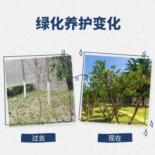 城墙绿化公司排名前十(杭州绿化公司排名前十)插图4