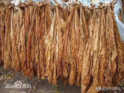 江下游淹没地(长江属于上游还是下游)插图3