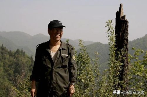 镇安木王森林公园(镇安木王森林公园天气)插图2