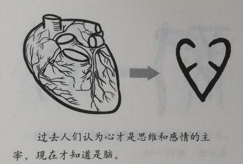 心的笔顺(心字没有中间的点怎么写)插图4