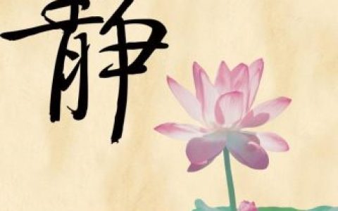 静谧的近义词(静谧一般用来形容什么)
