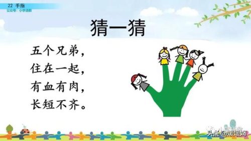 拇组词组(拇指的拇还能组哪些词)插图5