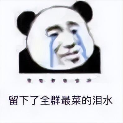 漳州高层豪宅排名前十(上海豪宅小区)插图2