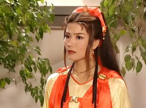 杨丽菁主演的电视剧(乞丐皇帝杨丽青)插图16