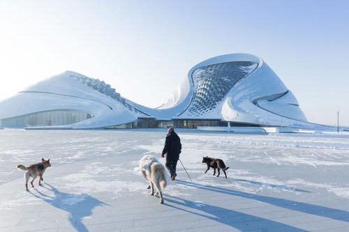 中国地级剧院排名前十(上海哪个剧院最好)插图3